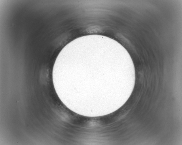 X0000068260308200605121827