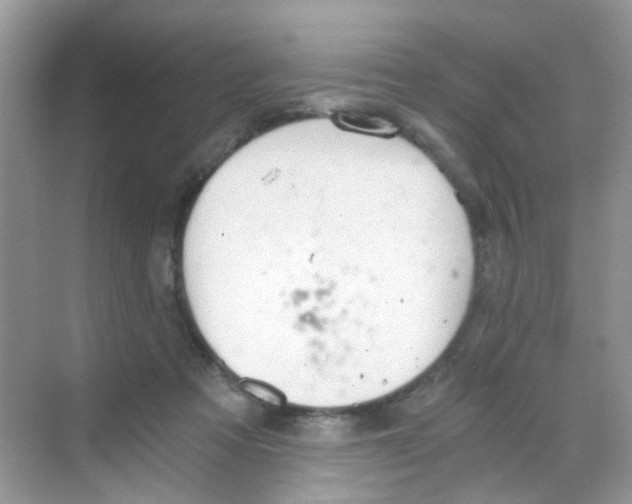 X0000068260313200605121827