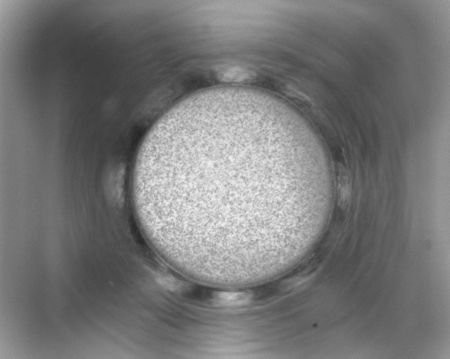 X0000068260319200605121827