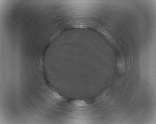 X0000068260322200605121827