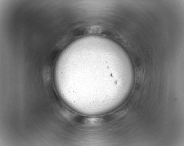 X0000068260323200605121827