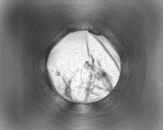 X0000068260326200605121827