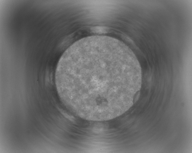 X0000068260330200605121827