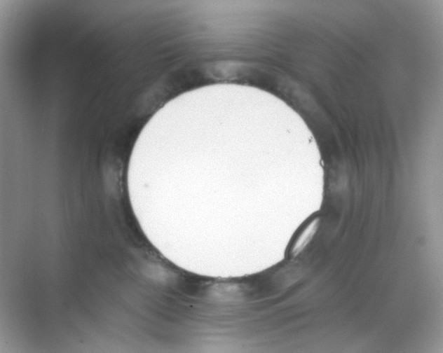 X0000068260332200605121827