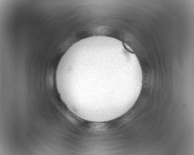 X0000068260334200605121826