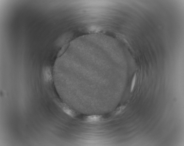 X0000068260335200605121826