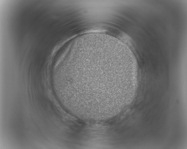 X0000068260337200605121826