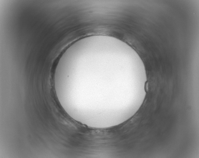 X0000068260338200605121826