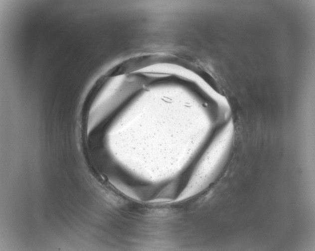 X0000068260342200605121826