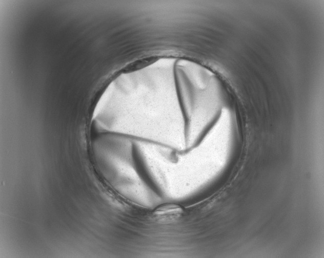 X0000068260345200605121826