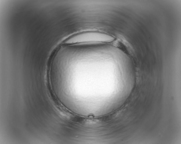 X0000068260346200605121826