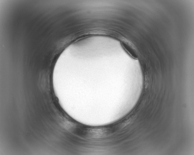 X0000068260349200605121826