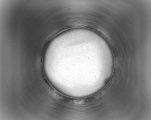 X0000068260353200605121826