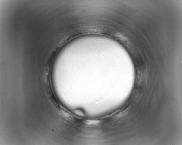 X0000068260355200605121826