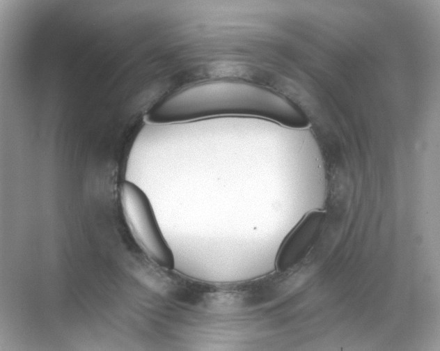 X0000068260356200605121826