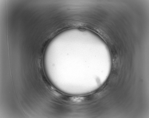 X0000068260359200605121826