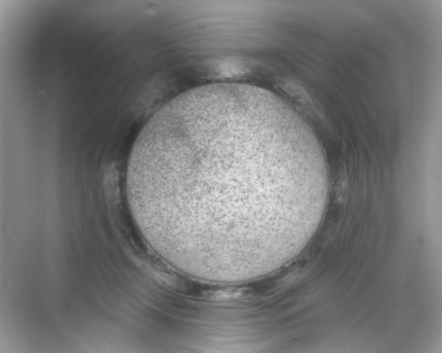 X0000068260366200605121826