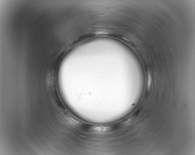 X0000068260367200605121826