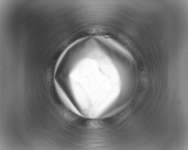 X0000068260372200605121826