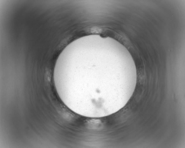 X0000068260374200605121826