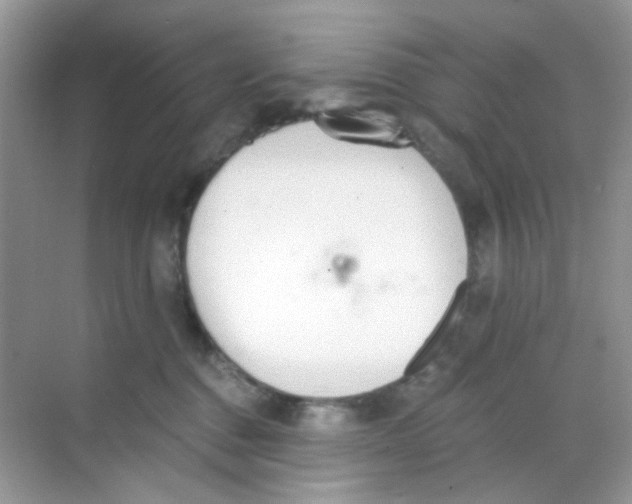 X0000068260376200605121826