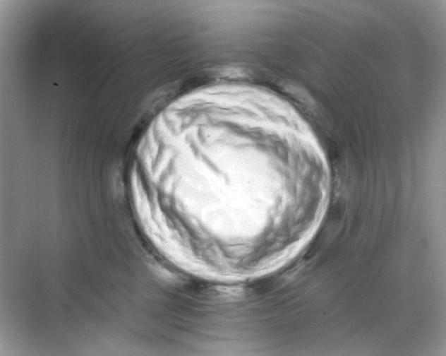 X0000068260377200605121826