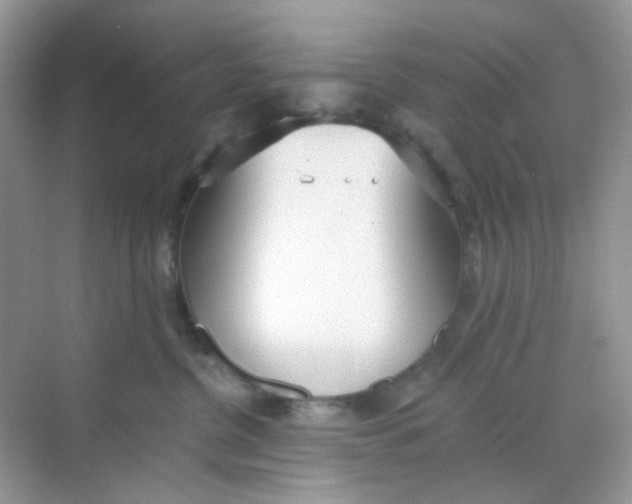 X0000068260380200605121826