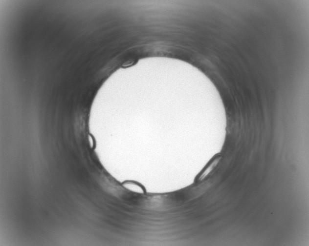 X0000068260382200605121826