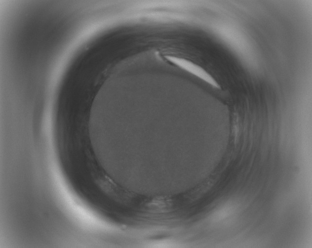 X0000068260383200605121826