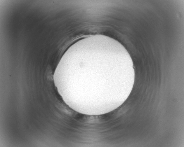 X0000068260384200605121826