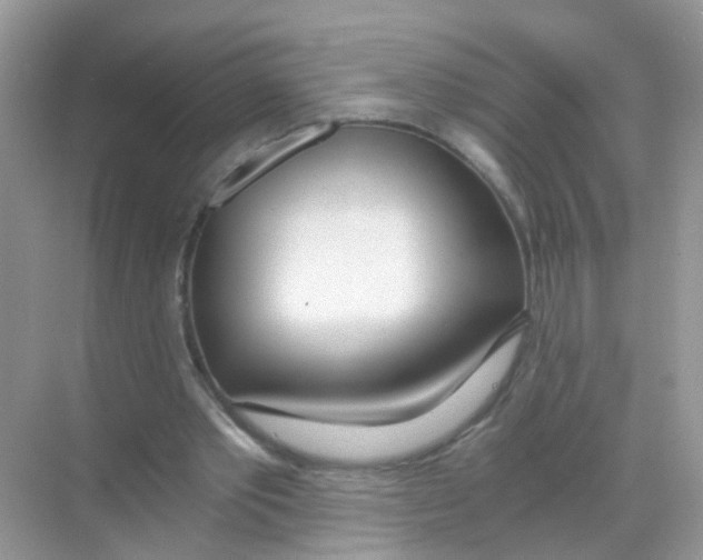 X0000068260389200605121826