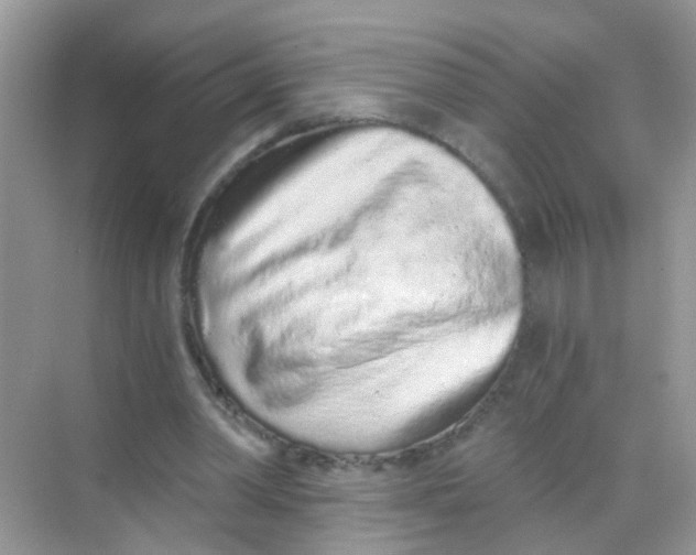 X0000068260390200605121826