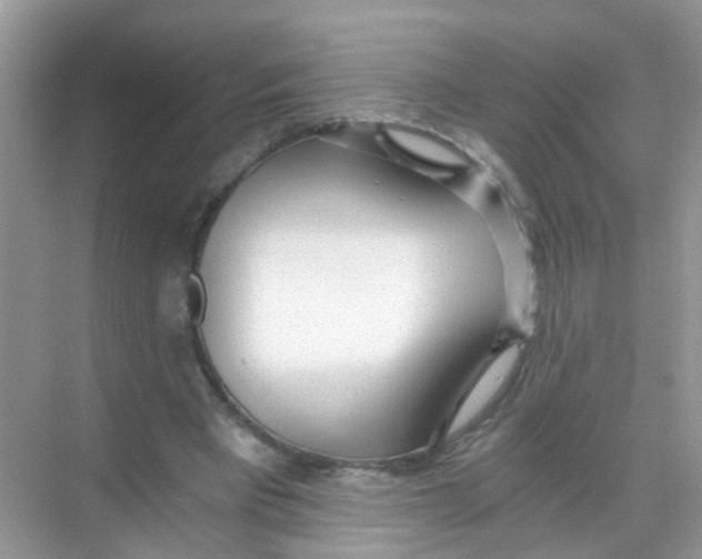 X0000068260393200605121825