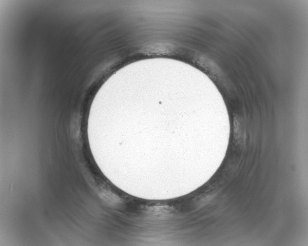 X0000068260396200605121825