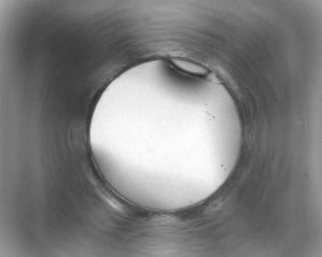 X0000068260397200605121825