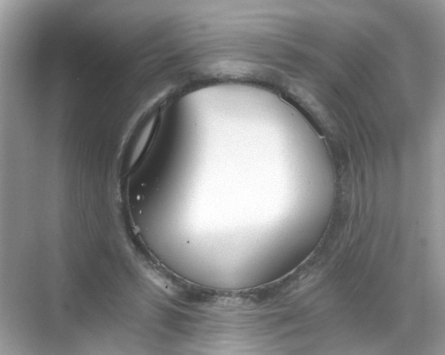 X0000068260399200605121825