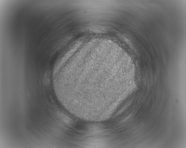 X0000068260402200605121825