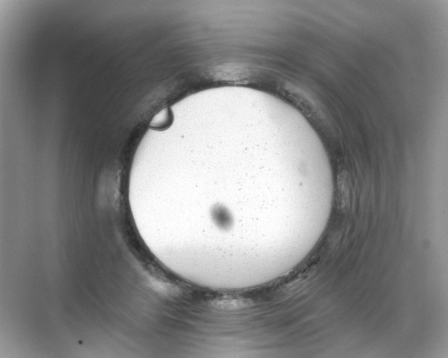 X0000068260404200605121825