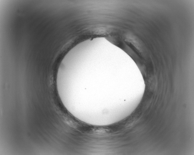 X0000068260407200605121825