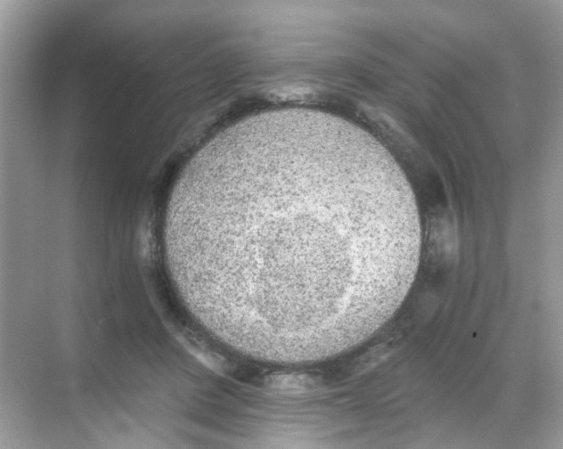 X0000068260408200605121825