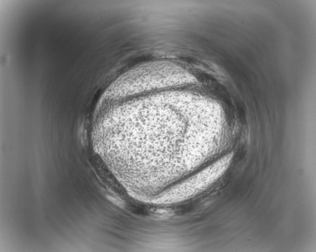 X0000068260409200605121825