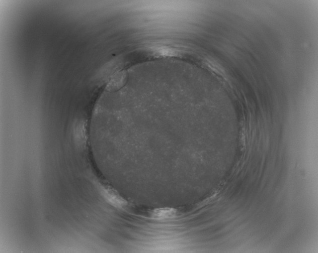 X0000068260410200605121825