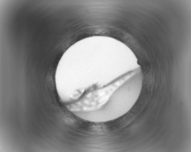 X0000068260415200605121825