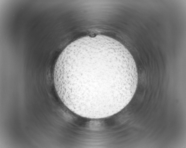 X0000068260418200605121825