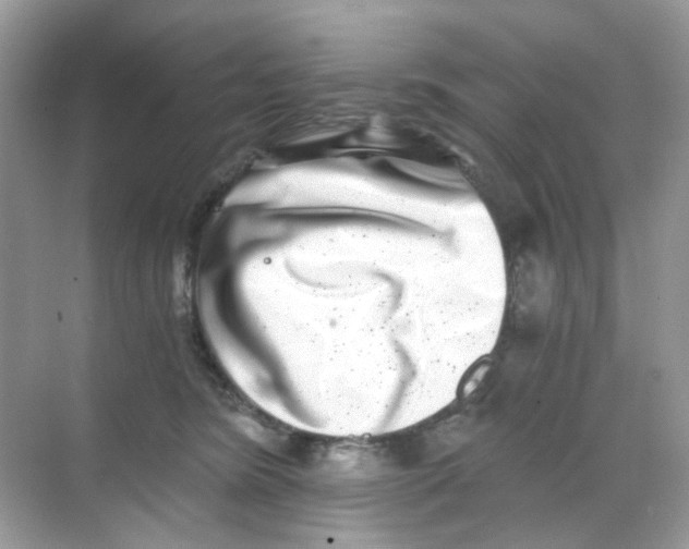 X0000068260420200605121825