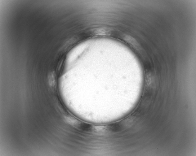 X0000068260423200605121825