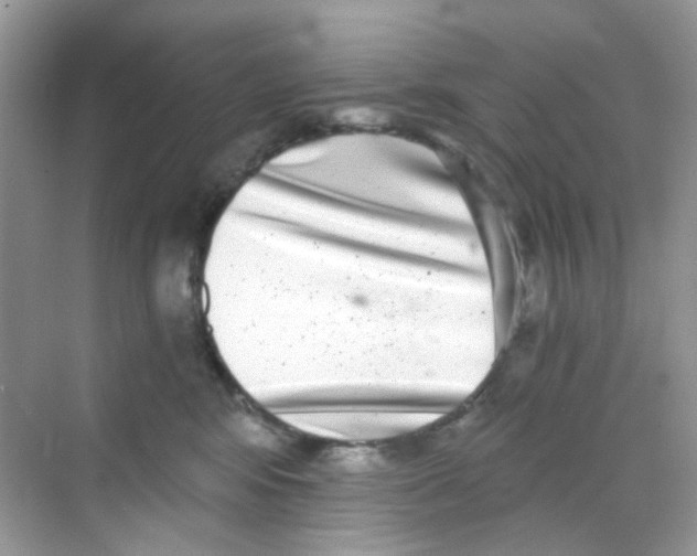 X0000068260424200605121825