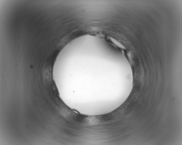 X0000068260425200605121825