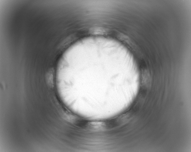 X0000068260427200605121825