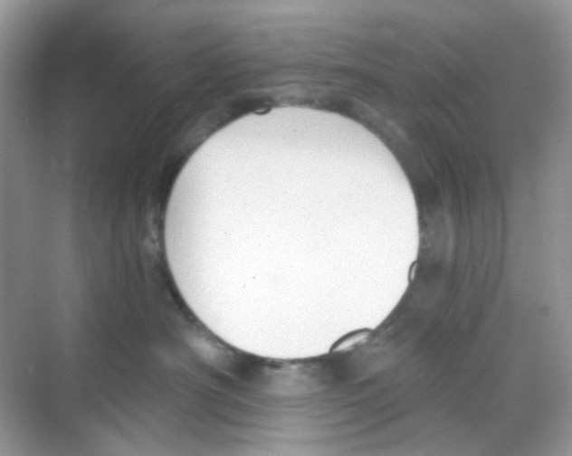 X0000068260430200605121825